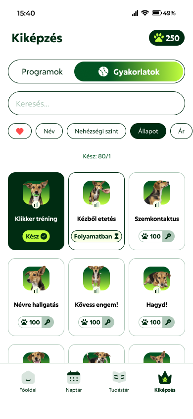 gyakorlatok